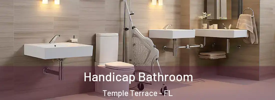  Handicap Bathroom Temple Terrace - FL