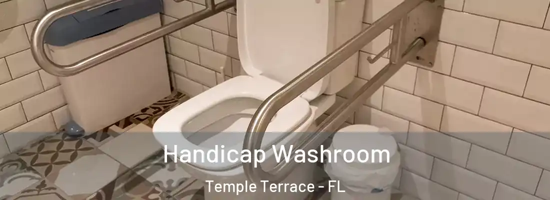  Handicap Washroom Temple Terrace - FL