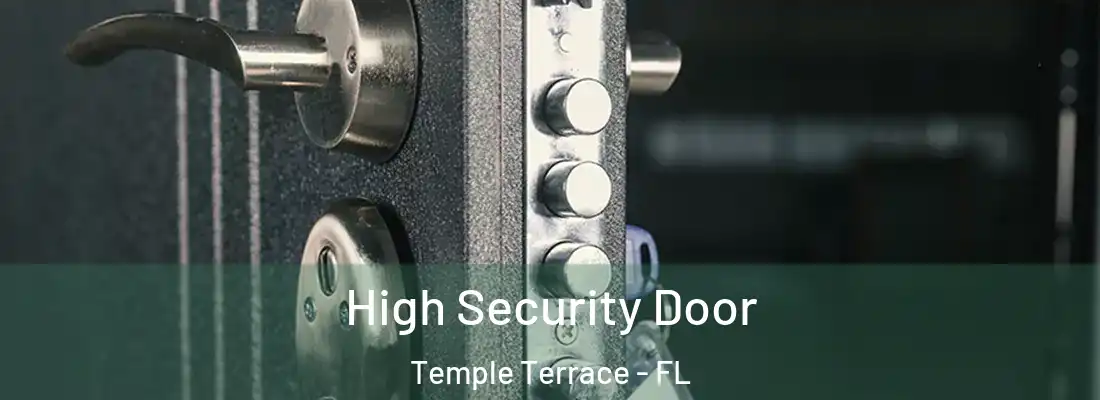  High Security Door Temple Terrace - FL