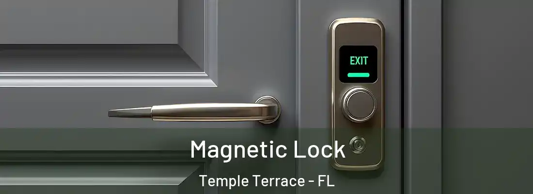  Magnetic Lock Temple Terrace - FL